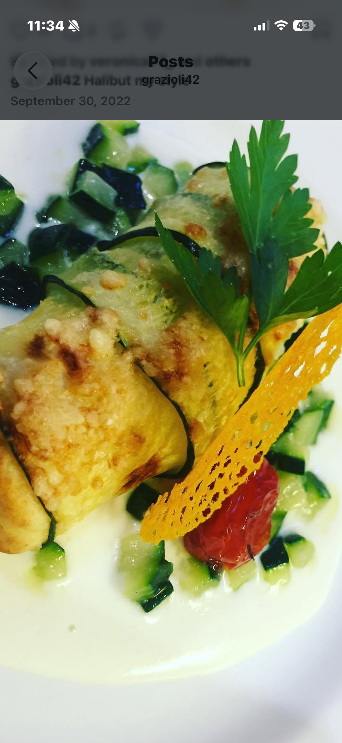 Gourmet fish fillet with vegetables and garnish